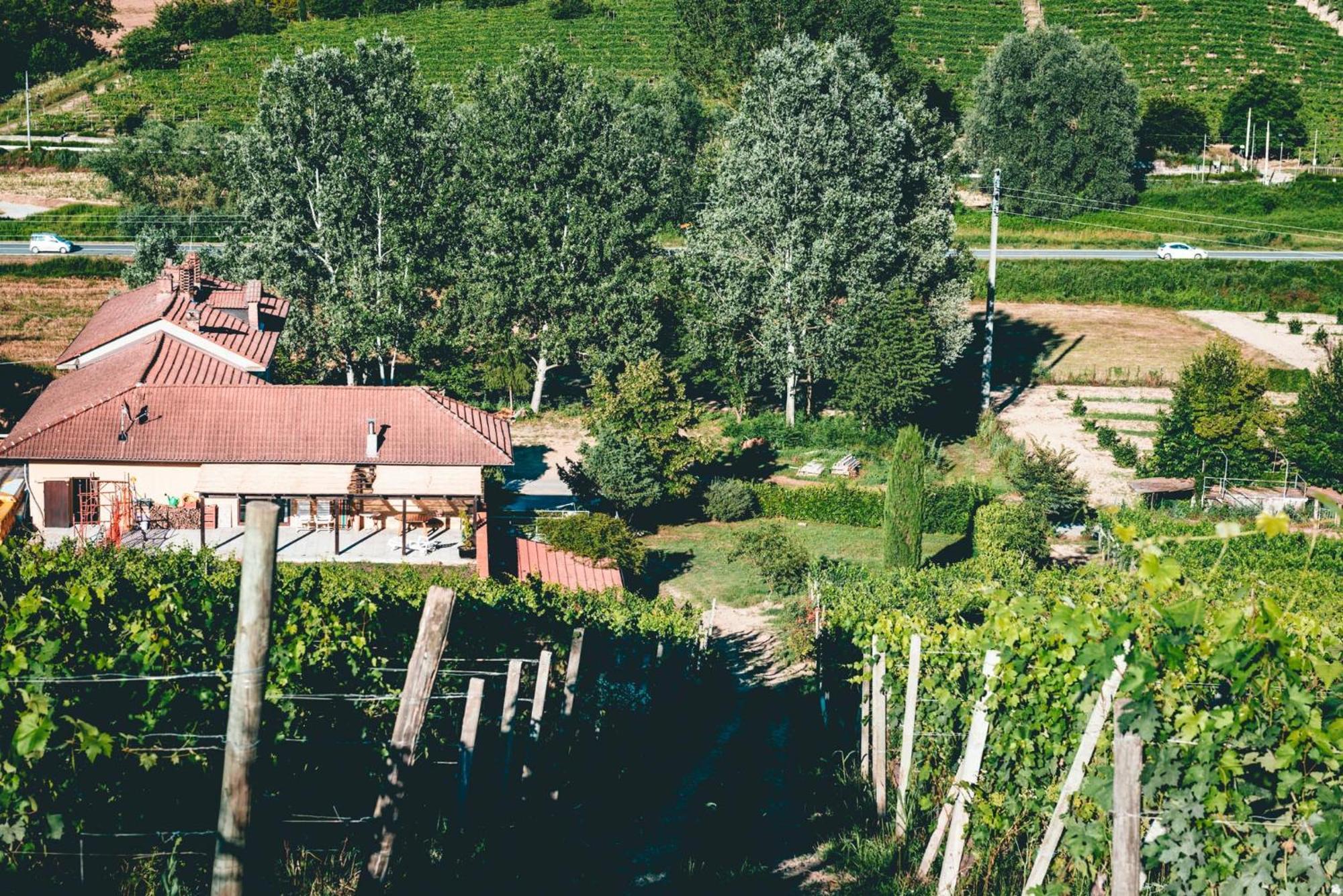Agriturismo Dacapo Agliano Terme Exterior photo